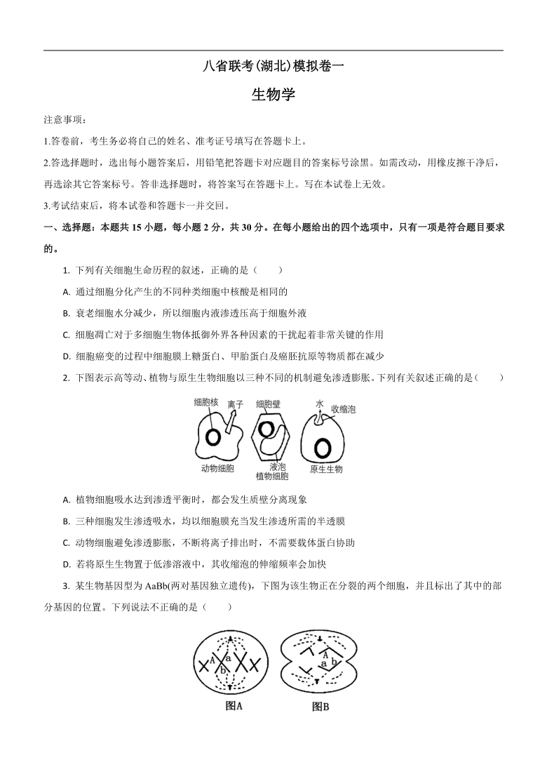 【八省联考】生物高考仿真模拟卷湖北）（含解析）