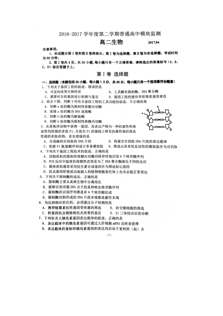 山东省潍坊四县市2016-2017学年第二学期期中考试生物试题（高清扫描版无答案）