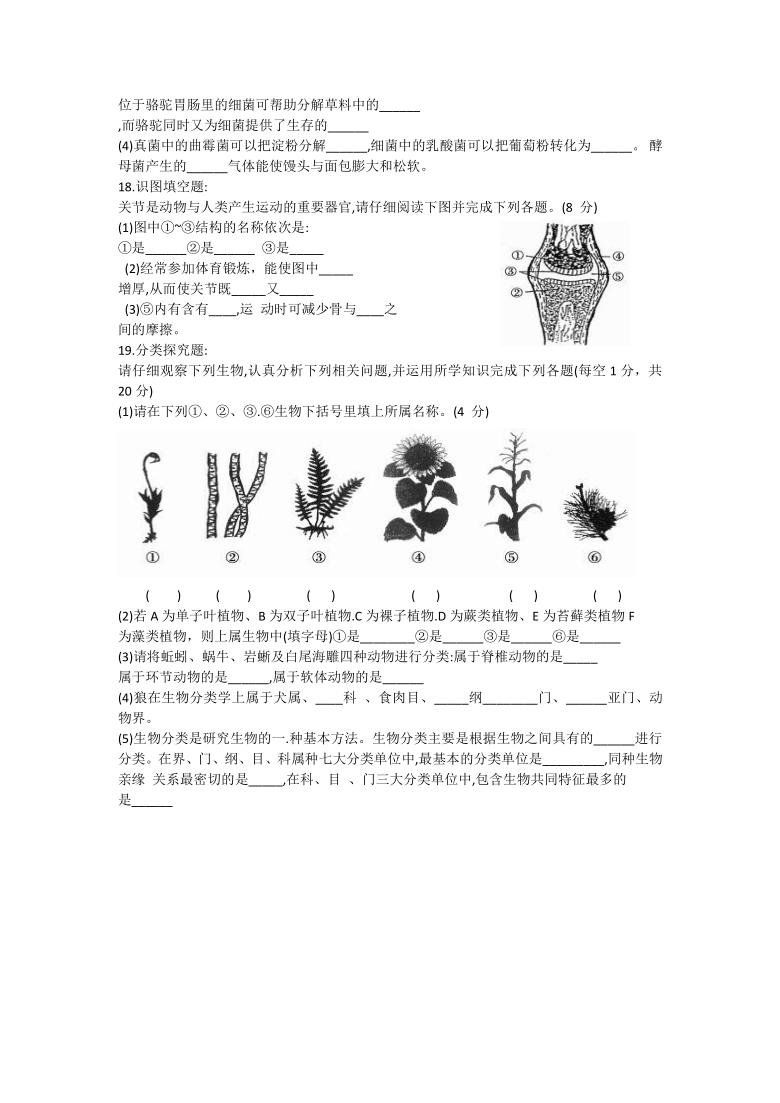 青海省西宁市2020-2021学年八年级上学期期末调研测试生物试题（word版 含答案）