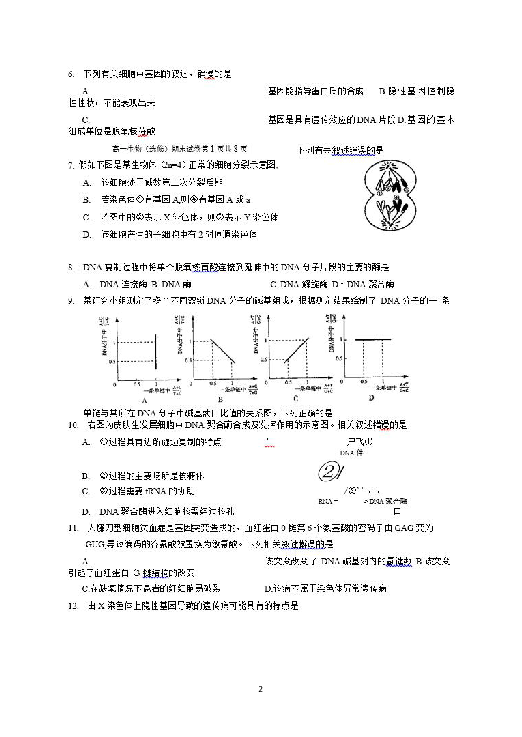 江苏省苏州市2018-2019高一下学期学业质量阳光指标调查卷（期末考试）生物试题（扫描版含答案）