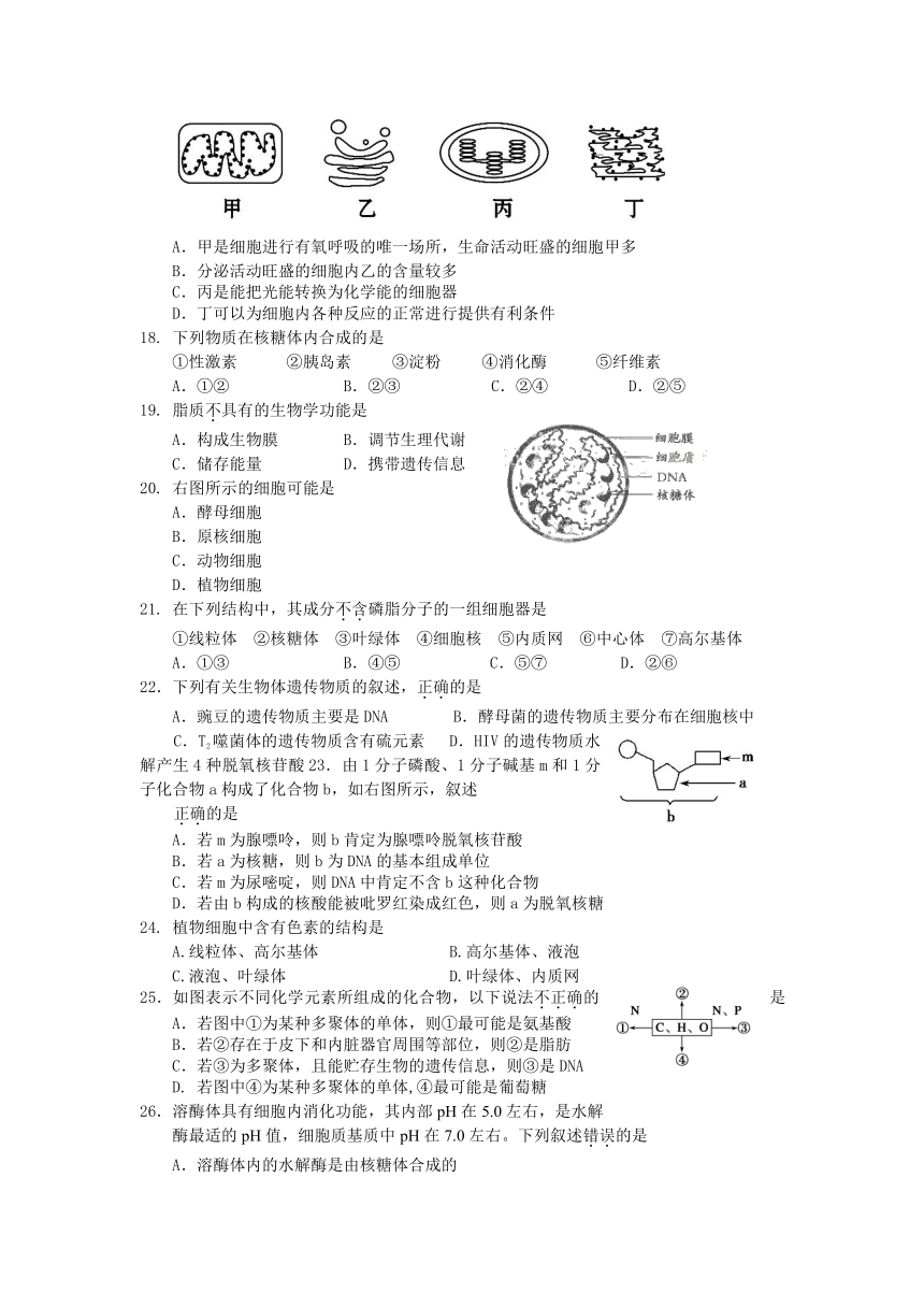 河北省唐山一中2013-2014学年高一上学期第二次月考 生物试题（无答案）