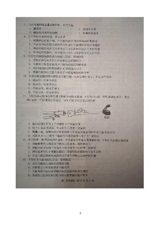 山东省寿光市2018-2019学年高二上学期期中考试生物试题 扫描版