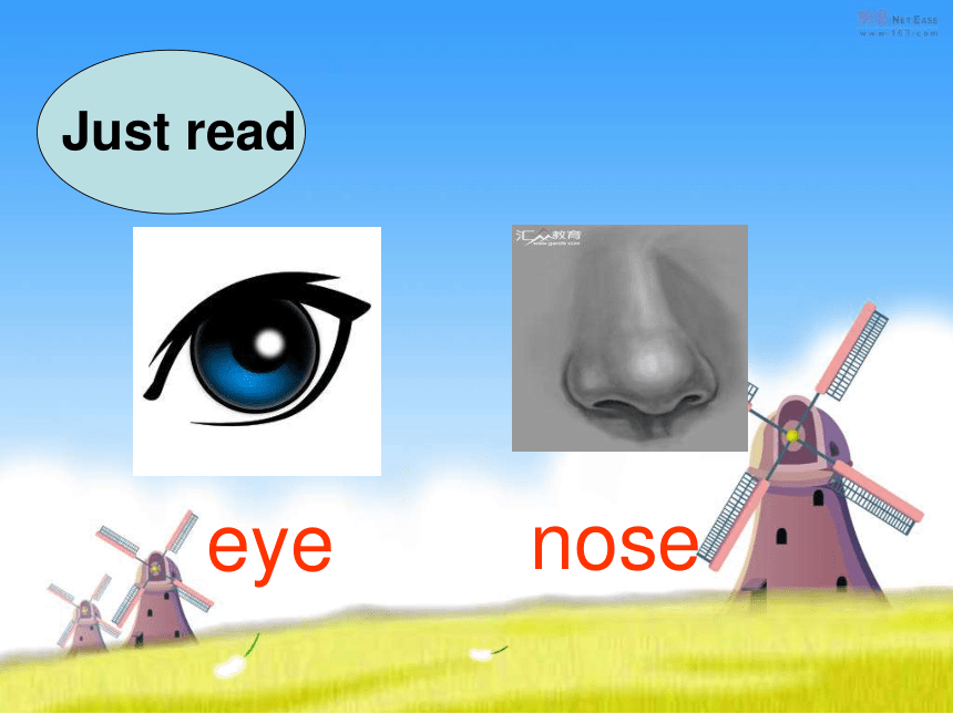 Unit 3 Look at my nose Lesson 13 课件