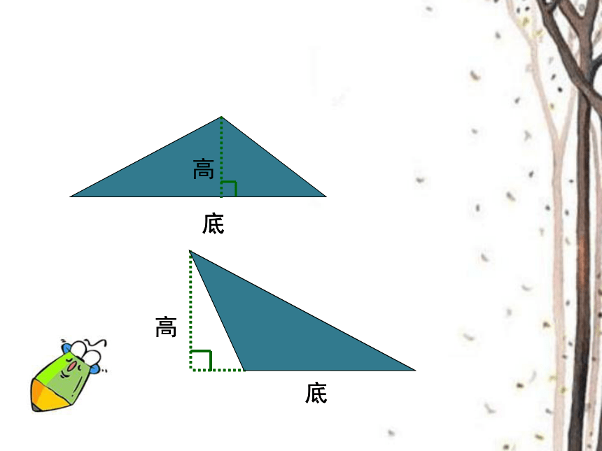 数学五年级上人教版6三角形的面积课件（20张）