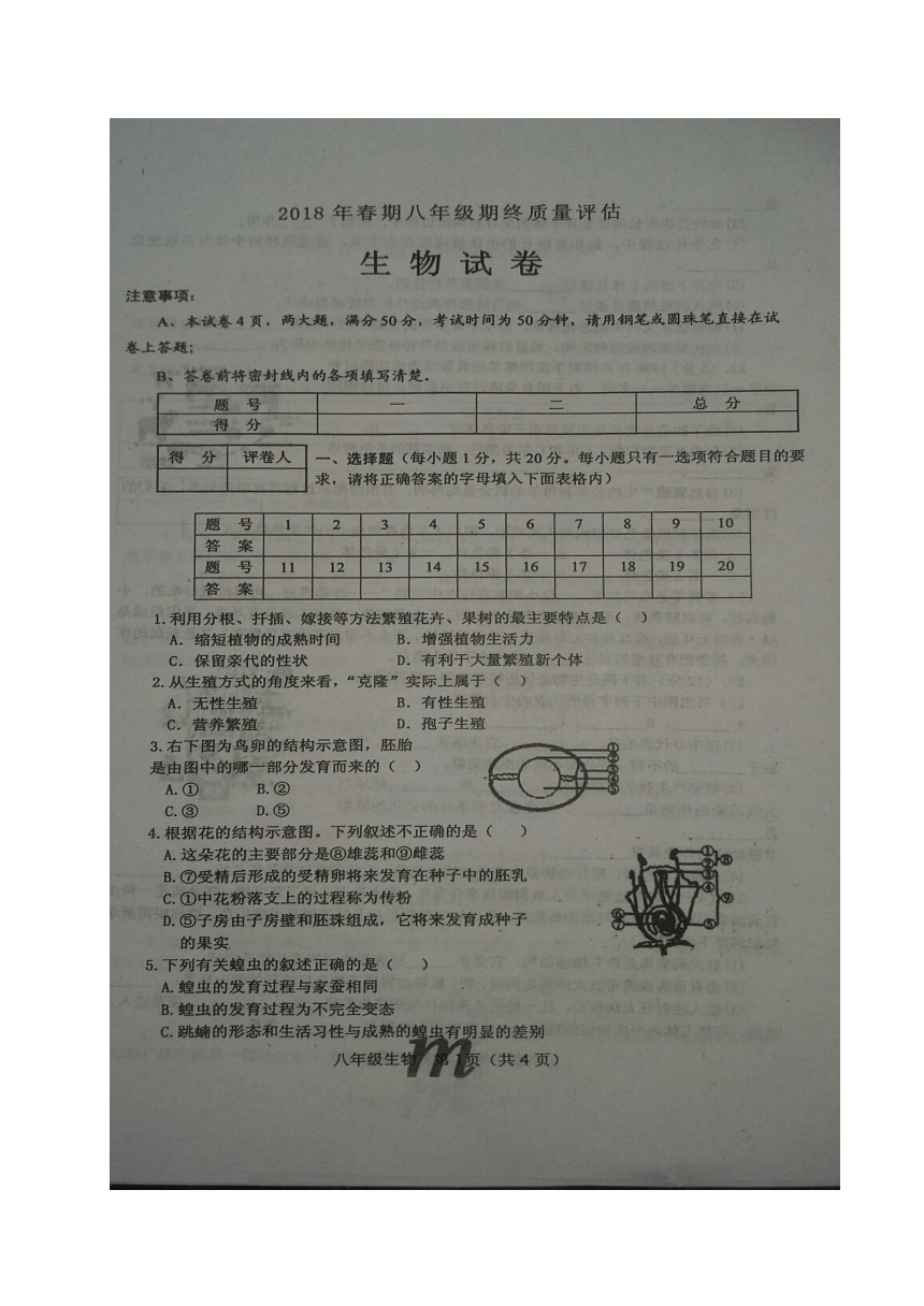 河南省南阳市淅川县2017-2018学年八年级下学期期末考试生物试题（图片版，含答案）