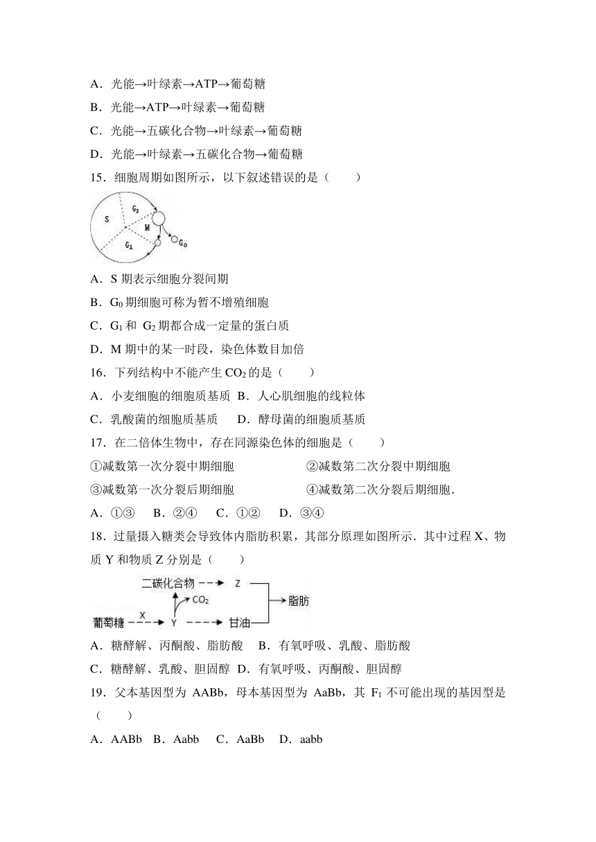 2017年上海市嘉定区高考生物一模试卷（解析版）