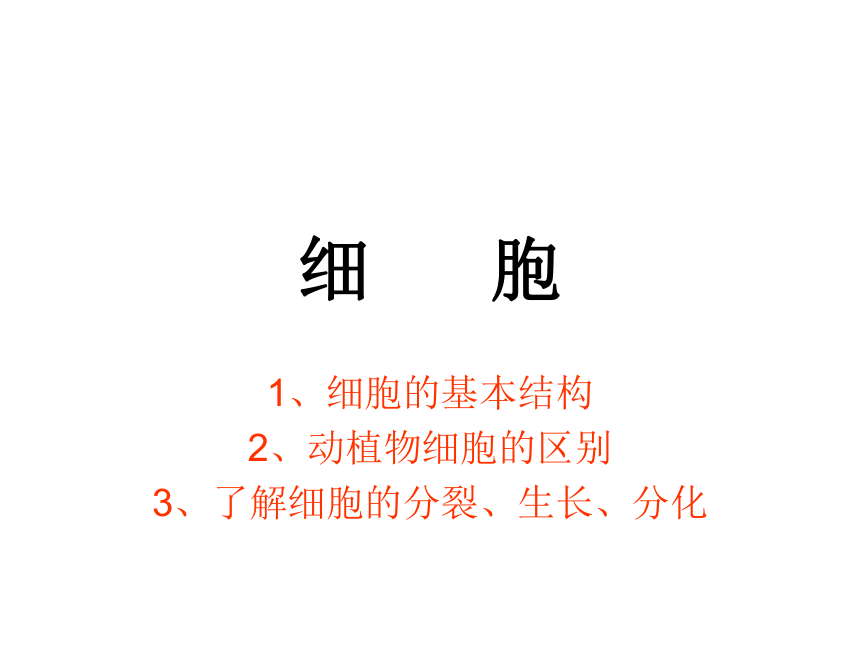 科学六年级下青岛版1.1细胞课件4