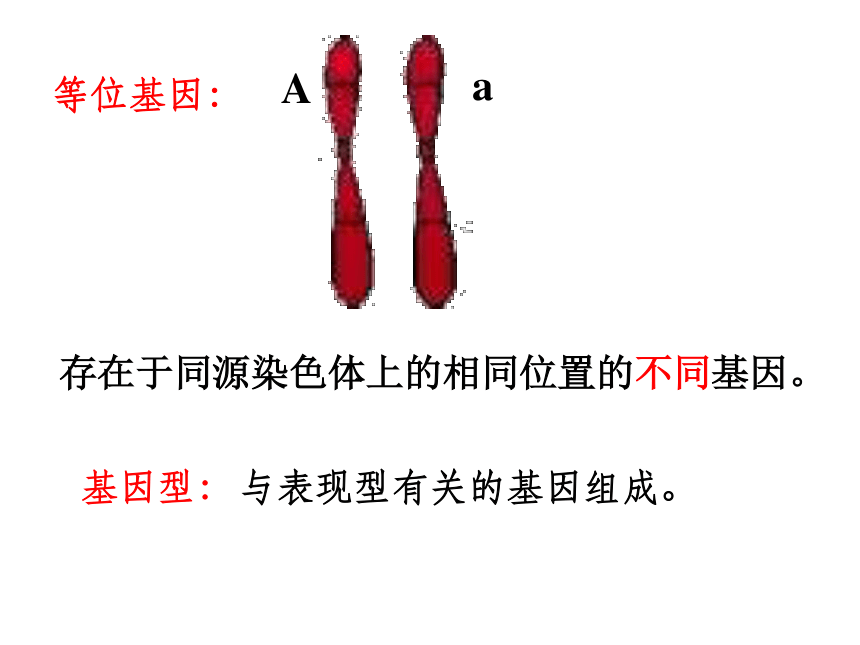 苏教版高中生物必修2第三章第一节基因的分离定律（37张PPT）