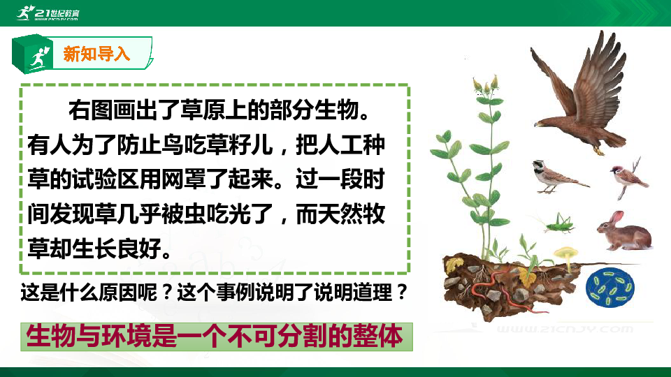 1.2.2生物与环境组成生态系统（课件）