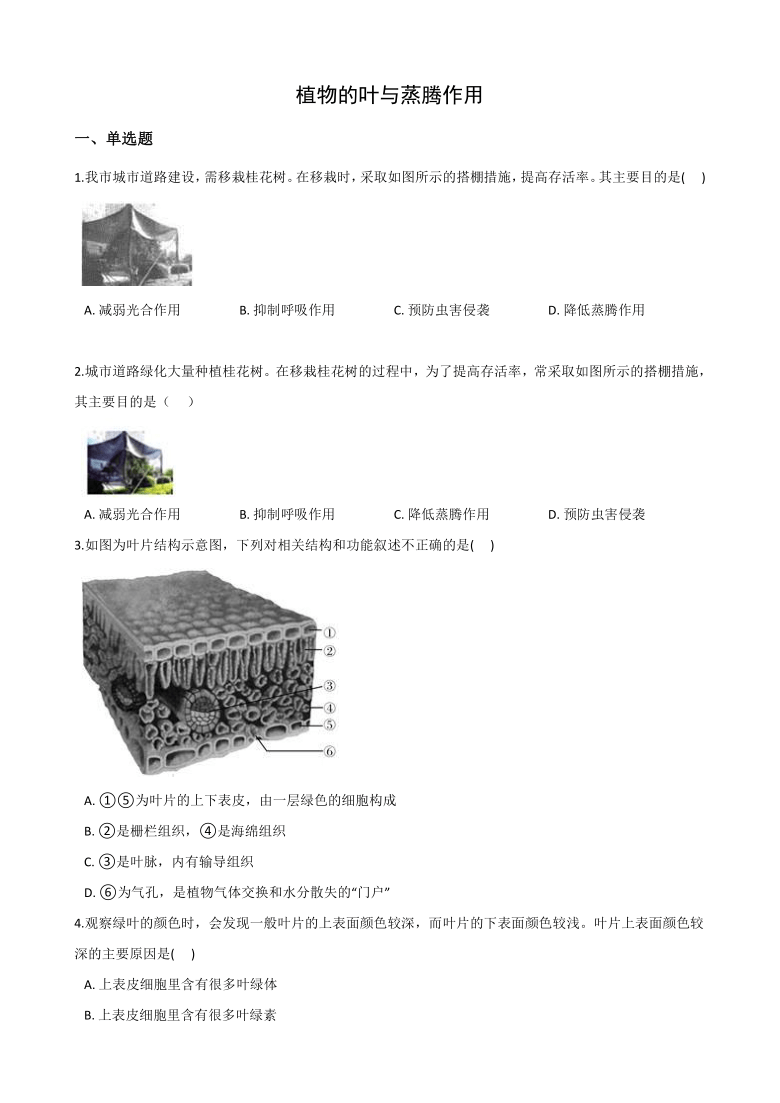2020-2021学年浙教版科学八年级下册 4.5植物的叶与蒸腾作用 同步练习（含答案）