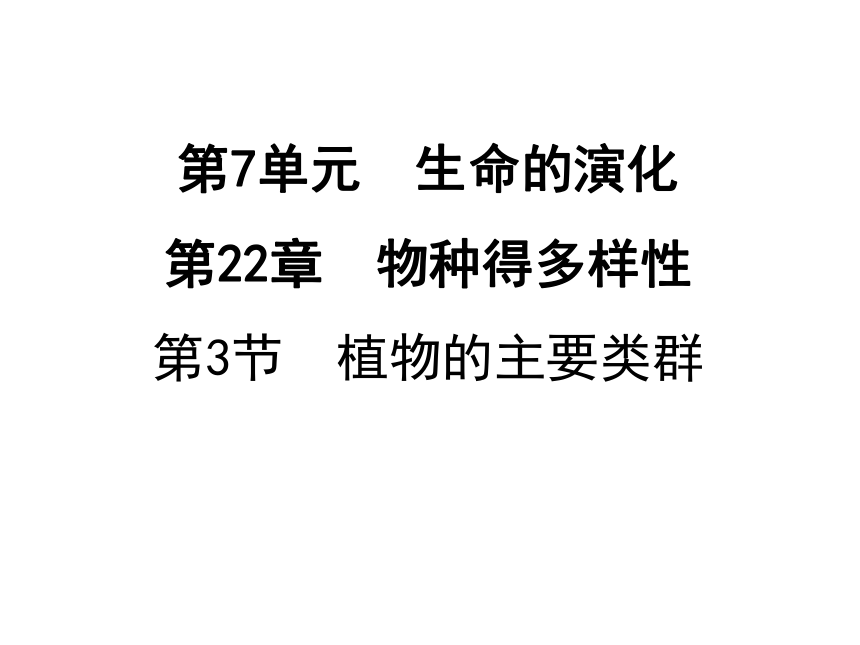 2019年秋八年生物北师大版下册课件：22.3植物的主要类群（23张ppt）