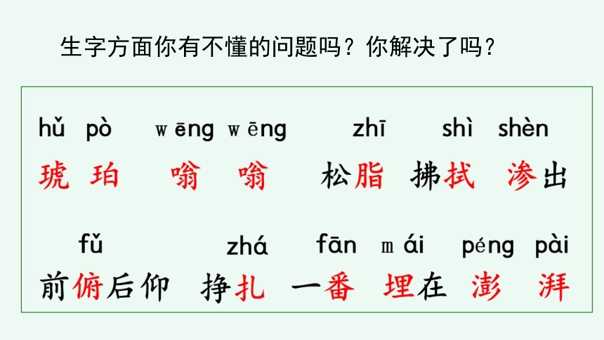 琥珀课后生字图片