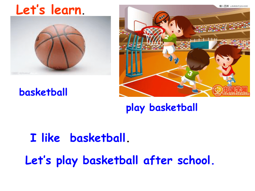 Starter Module 4 My everyday life Unit 3 What's your favourite sport?课件（20张PPT）