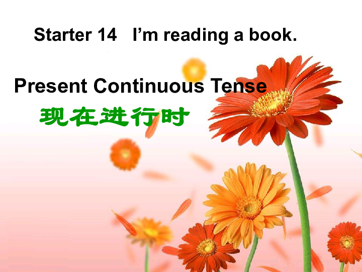 Starter Lessons 13-14 Lesson 14 I’m Reading a Book课件（33张）