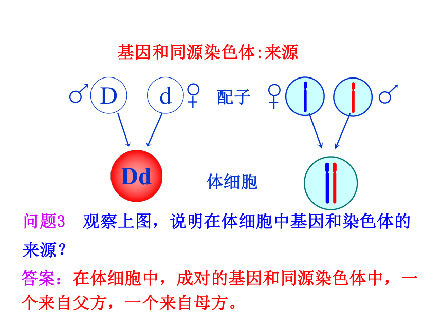 人教版高中必修二生物第2节--基因在染色体上(35张PPT)