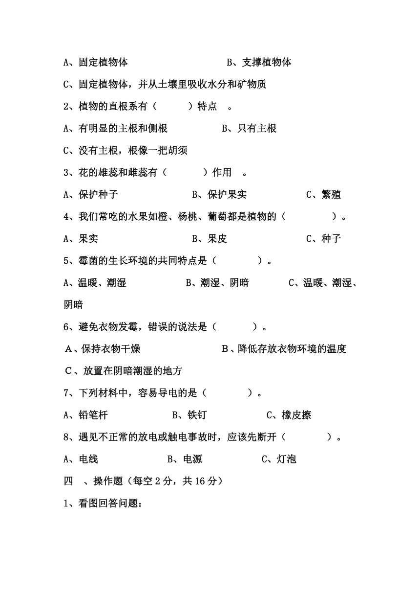 粤教版（第一版，福建适用）小学科学五年级上册期中测试题(word版，无答案)