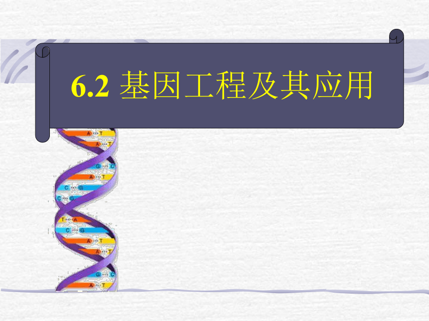 人教版生物必修2 第6章 第2节 基因工程及其应用 教学课件 （共30张PPT）