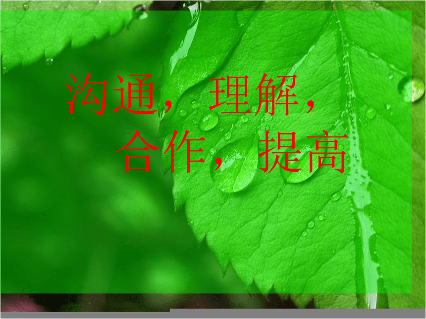 课件预览