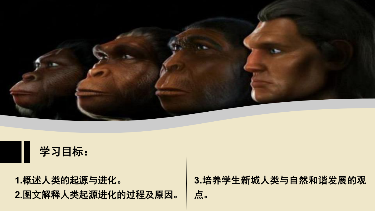 苏科版生物八年级下册7.23.4人类的起源和进化 课件(共20张PPT)