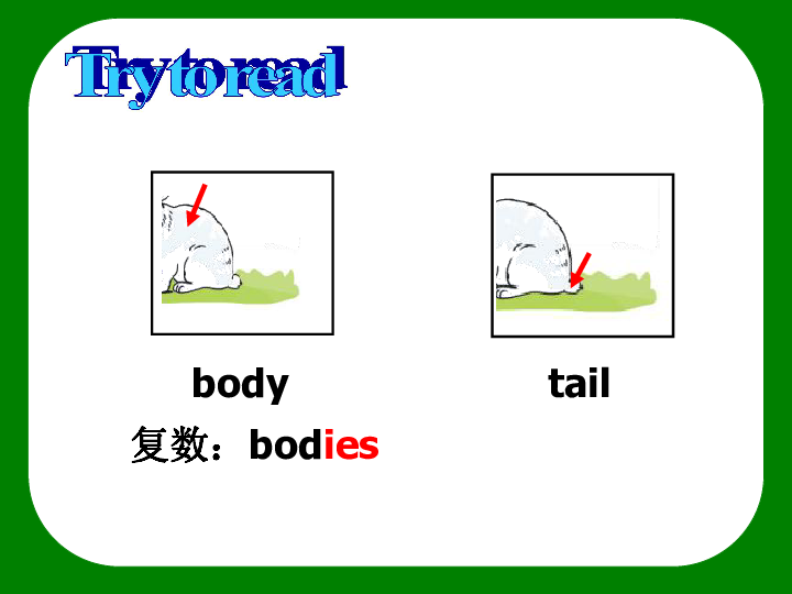 unit 3 our animal friends story time 课件