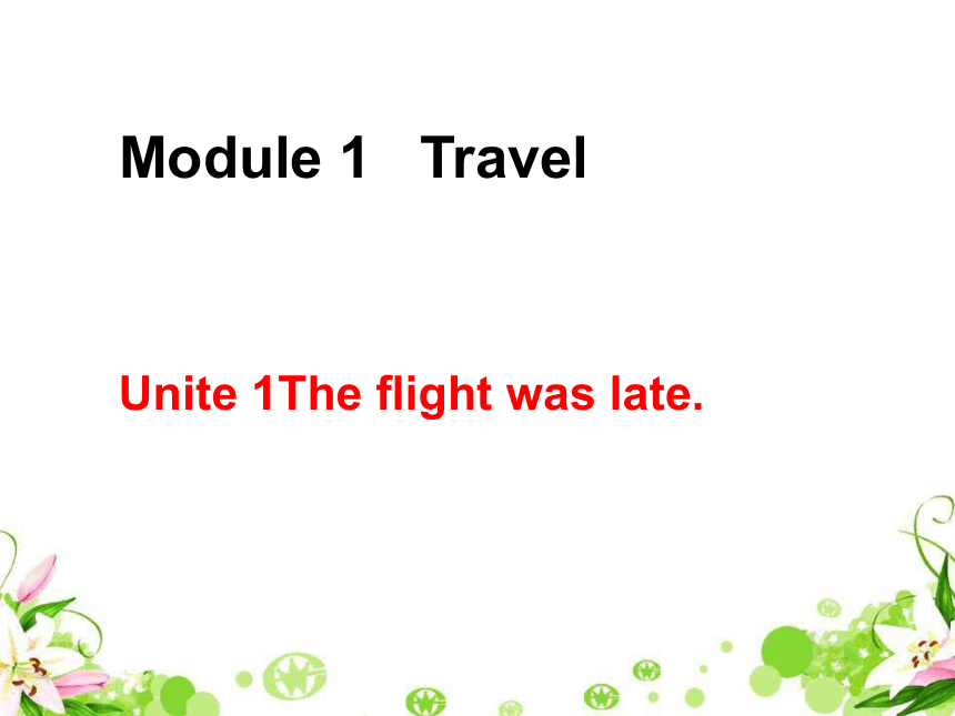 外研（新标准）九年级下 Module 1 Travel Unit 1 The flight was late教学课件