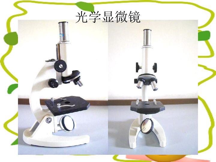 人教版七年级生物第一节练习使用显微镜课件（58张PPT）