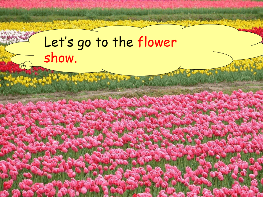 英语五年级上广州版《UNIT 7 Let’s Go to the Flower Show》课件2