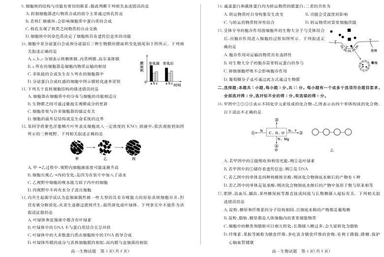 山东省德州市2020-2021学年度第一学期高一生物期中试题（PDF版）含答案