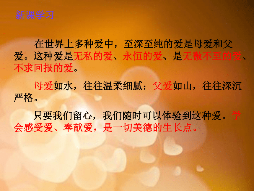 《温馨的港湾》课件