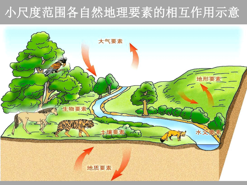 2017-2018年湘教版高一地理必修一课件自然地理环境的整体性