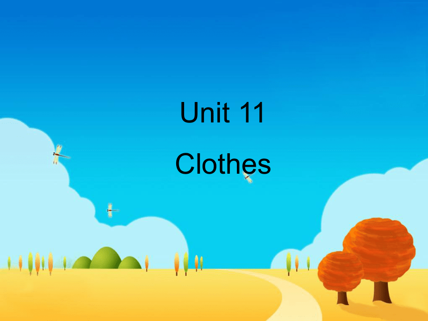 Unit 11 Clothes 课件