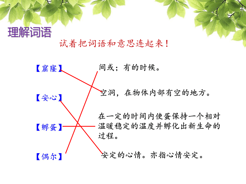 《总也不到的老屋》课件(53张PPT)