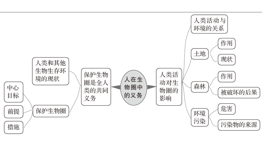 了解生物圈的思维导图图片