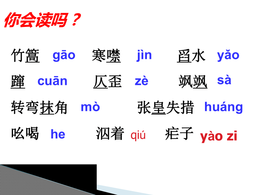 2016—2017人教版语文八年级上册第一单元课件：第2课《芦花荡》 （共54张PPT）