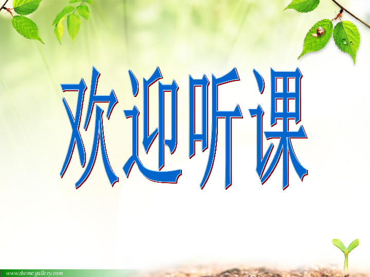 济南版生物 七年级上册 绿色植物的光合作用和呼吸作用 复习课件（共29张PPT）