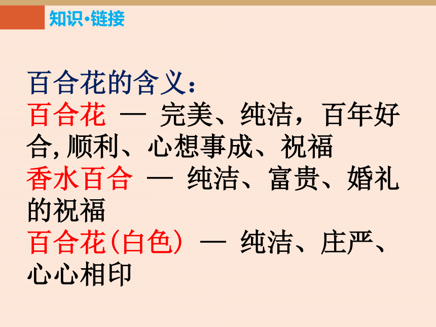 苏教版九上语文 14.小说家谈小说 课件（幻灯片30张）