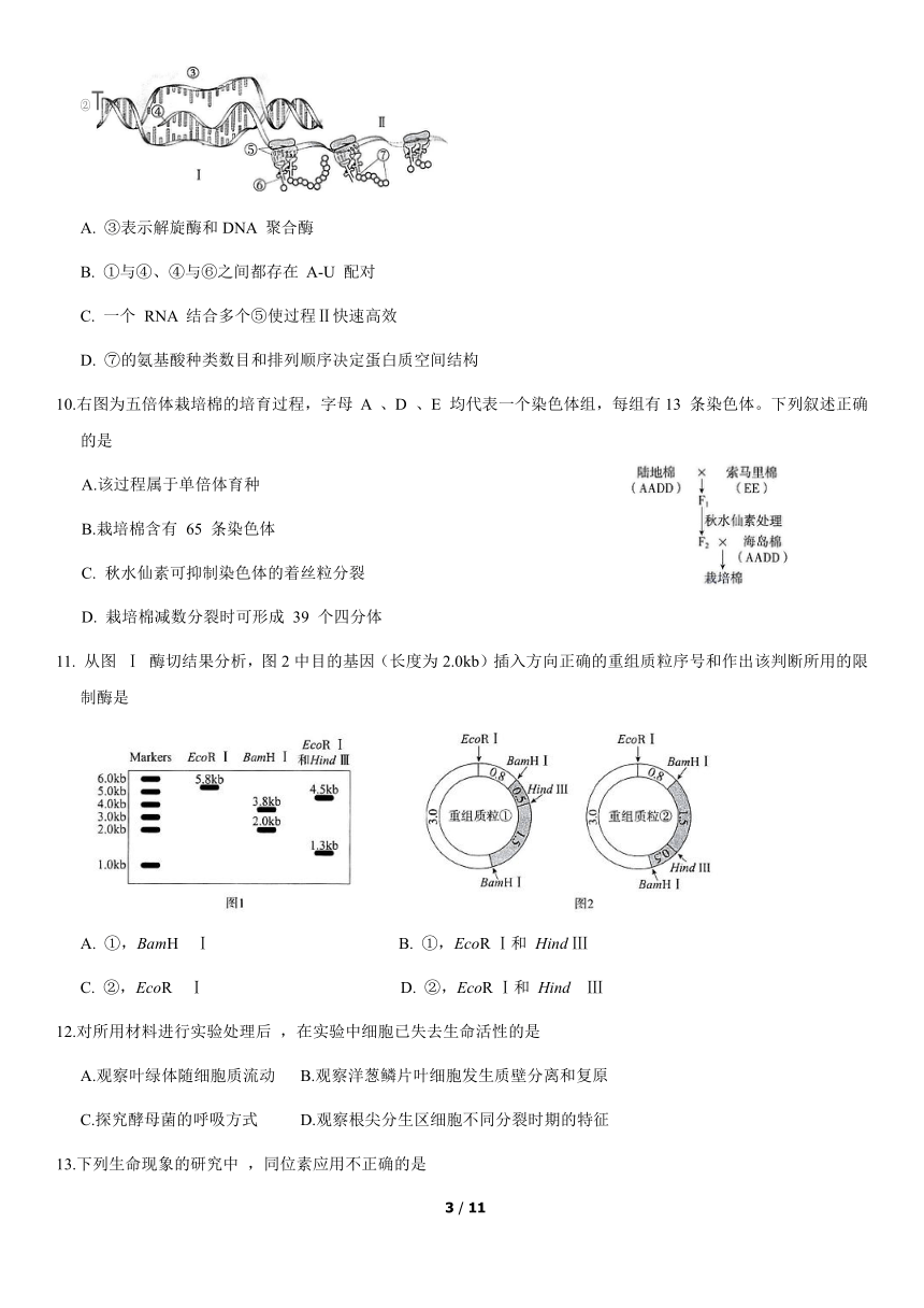 北京市海淀区2021-2022学年高三上学期期中考试生物试卷（word版，含答案）