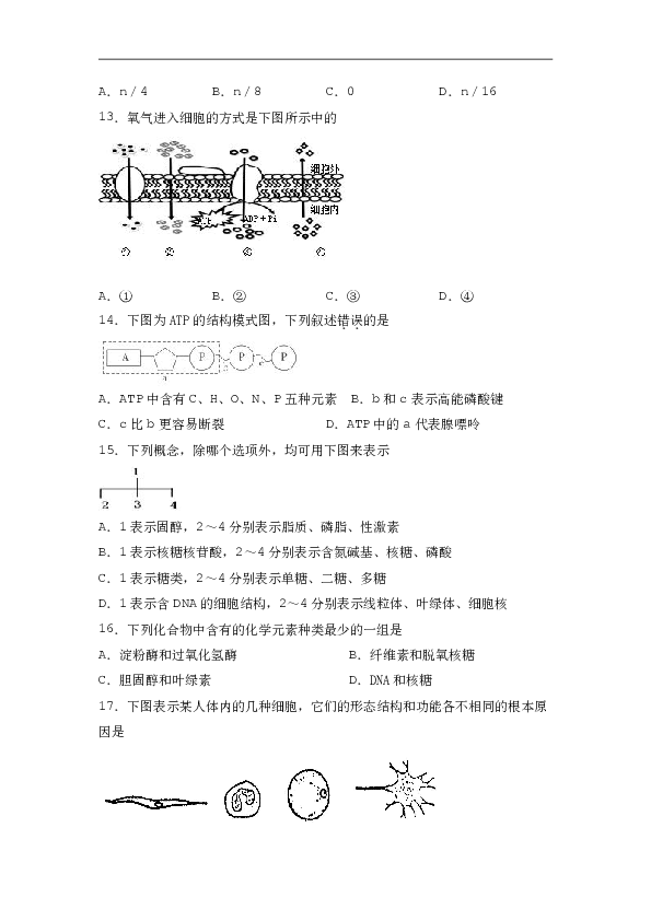 浙江省杭州市西湖高级中学2019-2020学年高二上学期10月月考生物试题