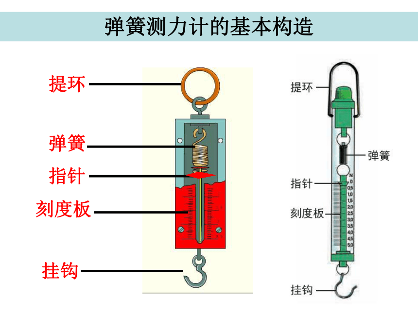 教科版（2017秋）四年级上册科学3.4弹簧测力计 (课件共16张PPT)