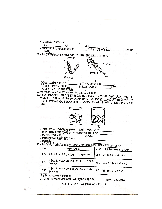 湖南省邵阳市邵东市黄陂桥中学2019-2020学年八年级上册生物期中考试（扫描版+答案+答题卡）