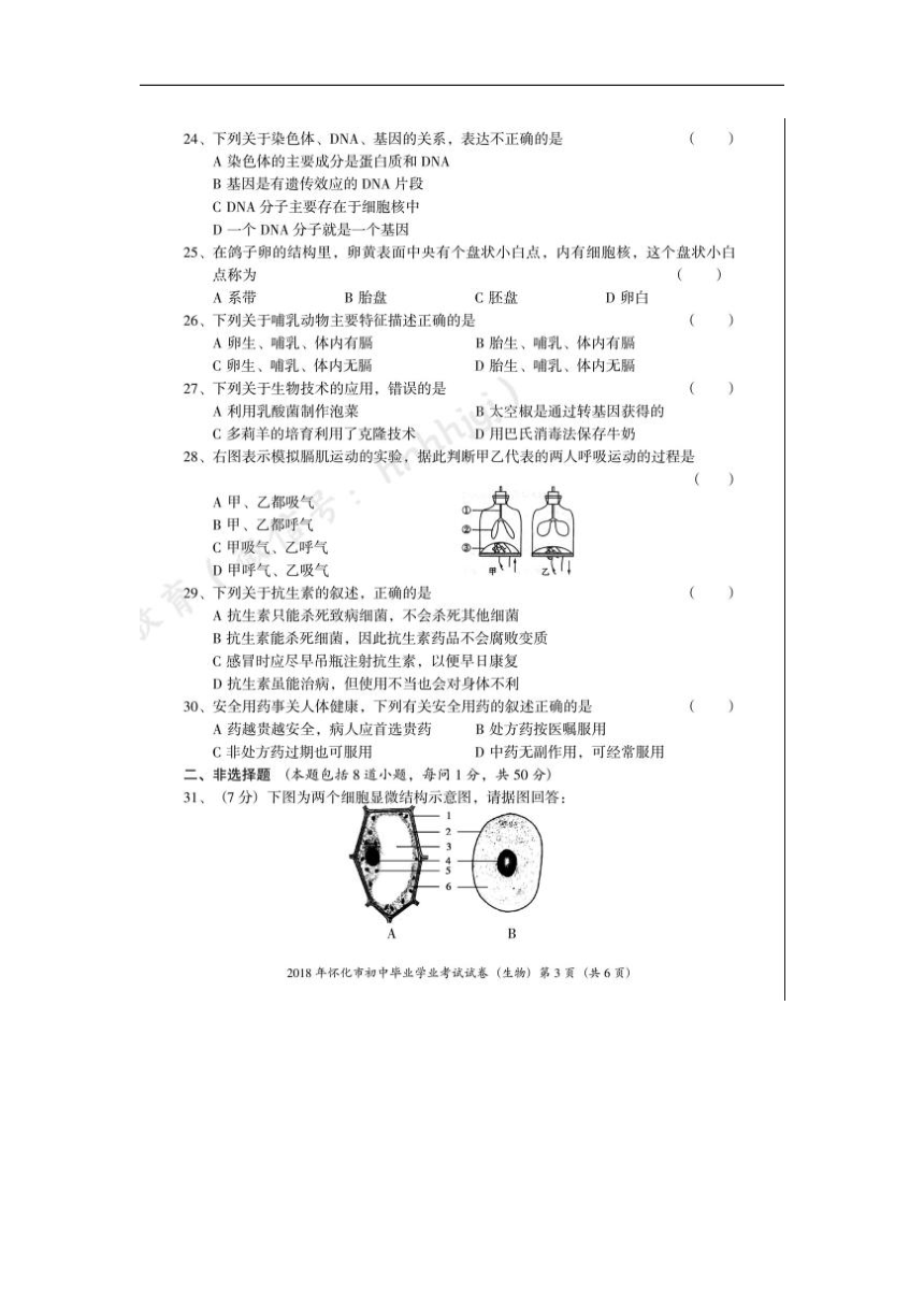 湖南省怀化市2018年中考生物试题（图片版，有答案）