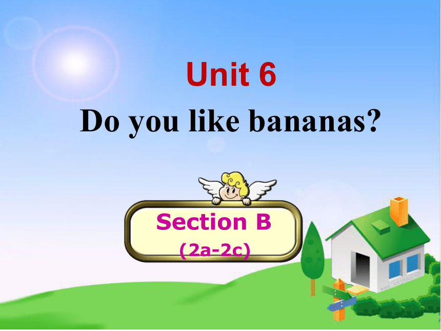 人教新目标七年级上册 Unit 6 Do you like bananas Section B(2a-2c)(共14张PPT)