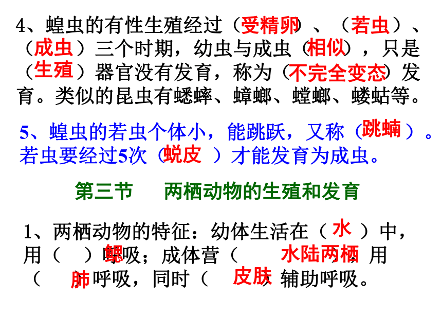 人教版生物八年级下册 生物复习24张PPT