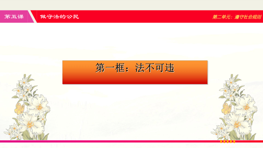 5-1 法不可违 课件（共30张PPT）