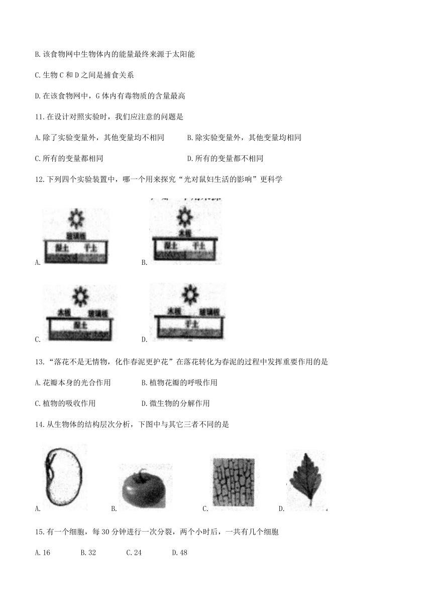 河南省南阳市社旗县2021-2022学年七年级上学期期中生物试题（word版 含答案）