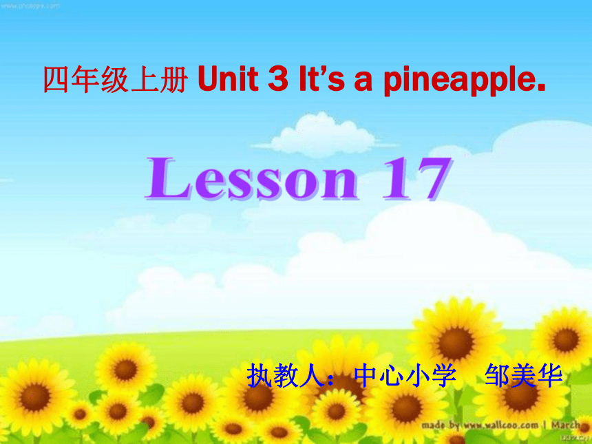 UNIT 3 It’s apineapple  Lesson 17