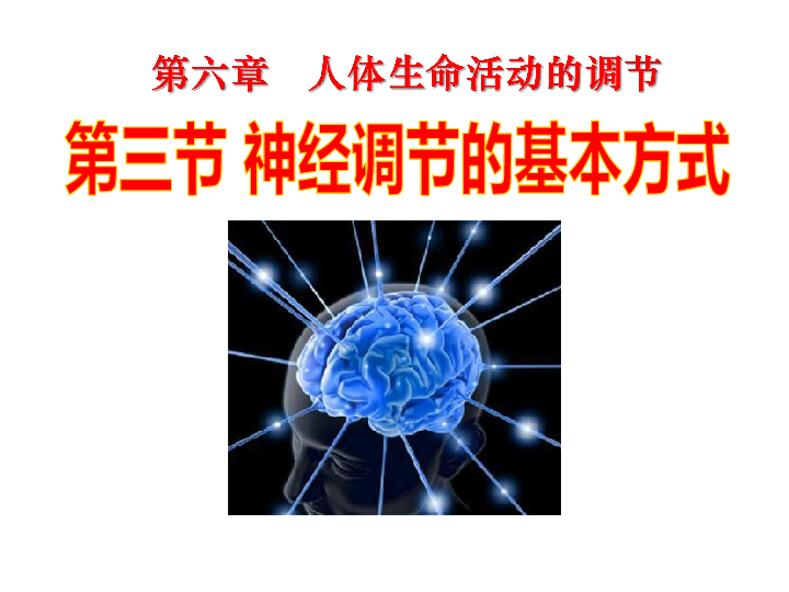 人教版七年级下册生物6.3神经调节的基本方式课件 (共34张PPT)