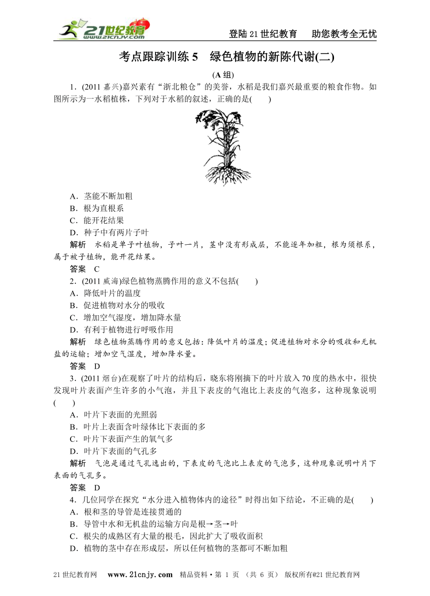 中考必胜——考点跟踪训练5 绿色植物的新陈代谢(二)