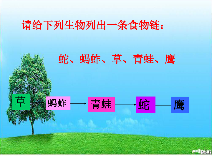 19.密切联系的生物界（9张PPT）