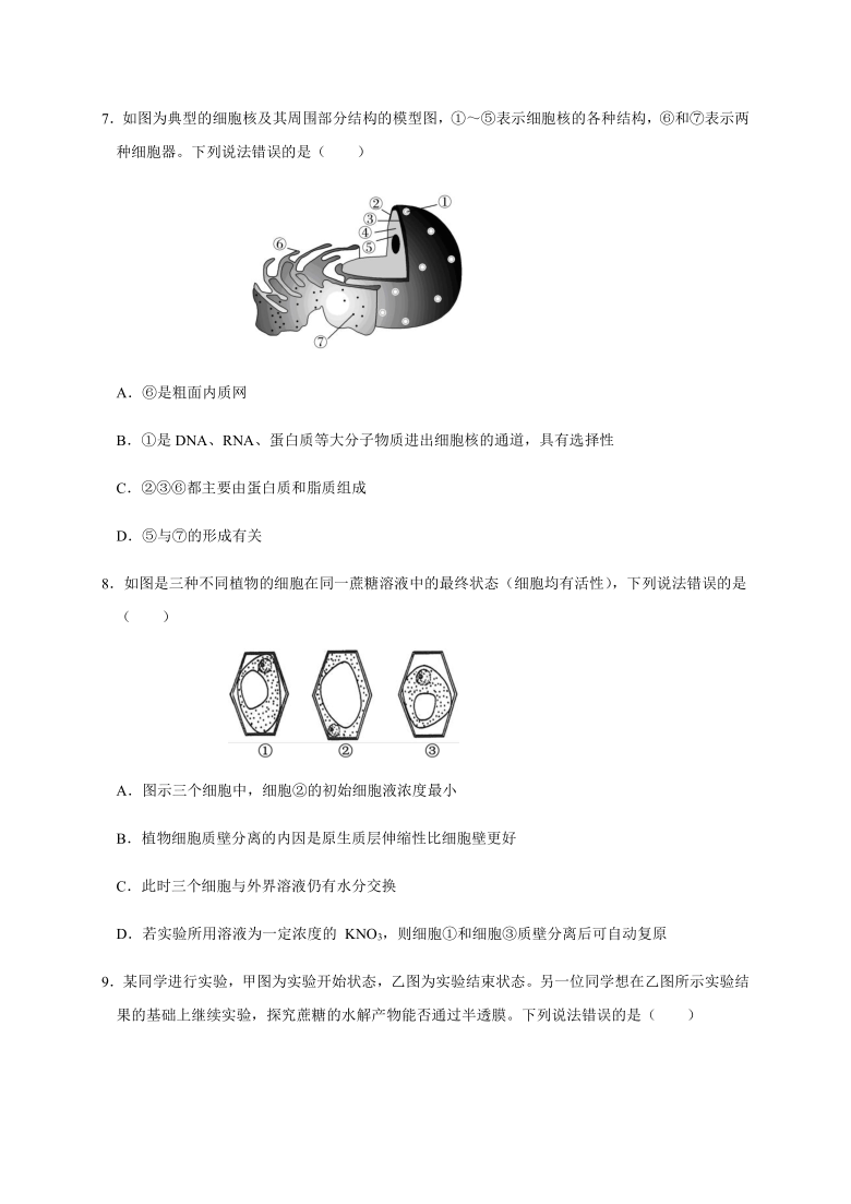 北京市昌平区新学道临川学校2020-2021学年高一（京津班）12月月考生物试题  含答案